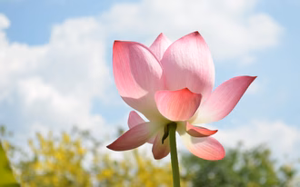 Foto Läbeskafi 2026