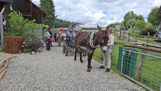 Kiki Eselhof 4