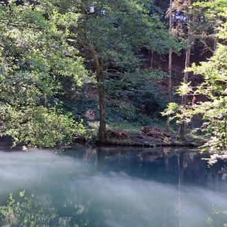 WK Steibachweiher im Sommer